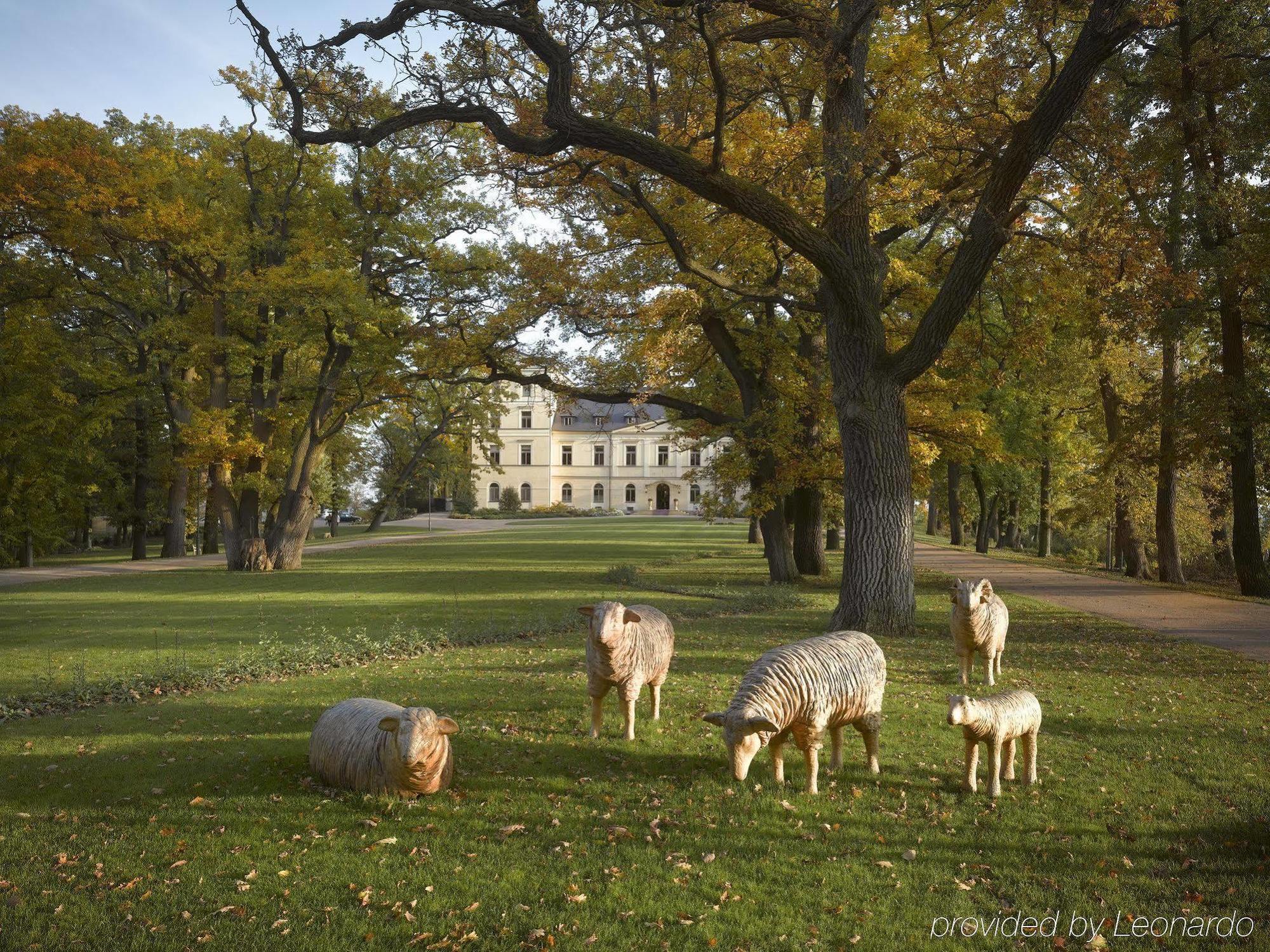 Chateau Mcely Hotel Bagian luar foto